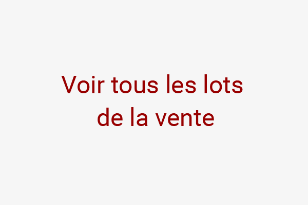 Tous les lots